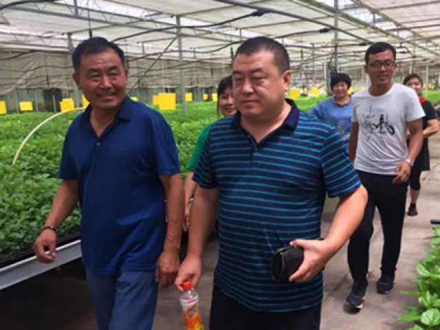 一線辦公 | 集團總裁尹瑞豐到農(nóng)業(yè)基地視察